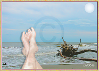 Feet n: Ocean With Watermark